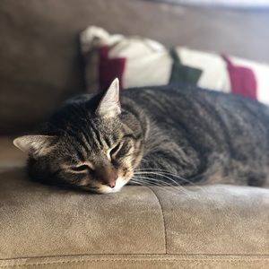 Meet your Posher, Patricia